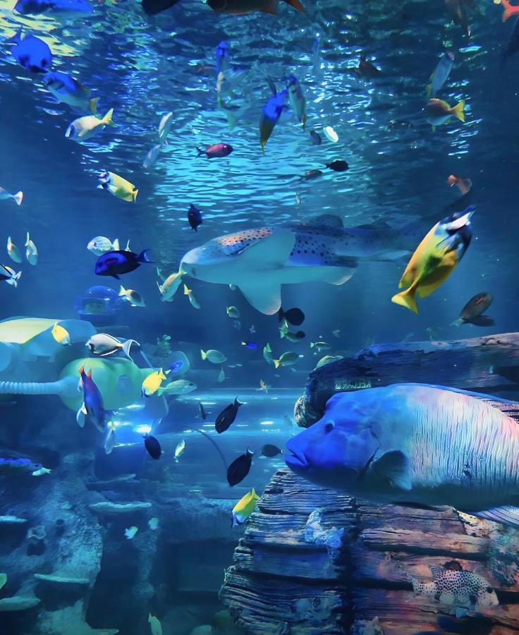 Mins To Johor Bahru Legoland Encorp Marina Puteri Harbour Sea View